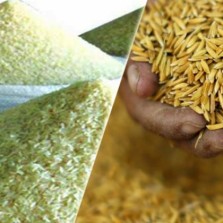 আমন মৌসুমে ৩৭ টাকা কেজি দরে চাল, ২৬ টাকায় ধান কিনবে সরকার