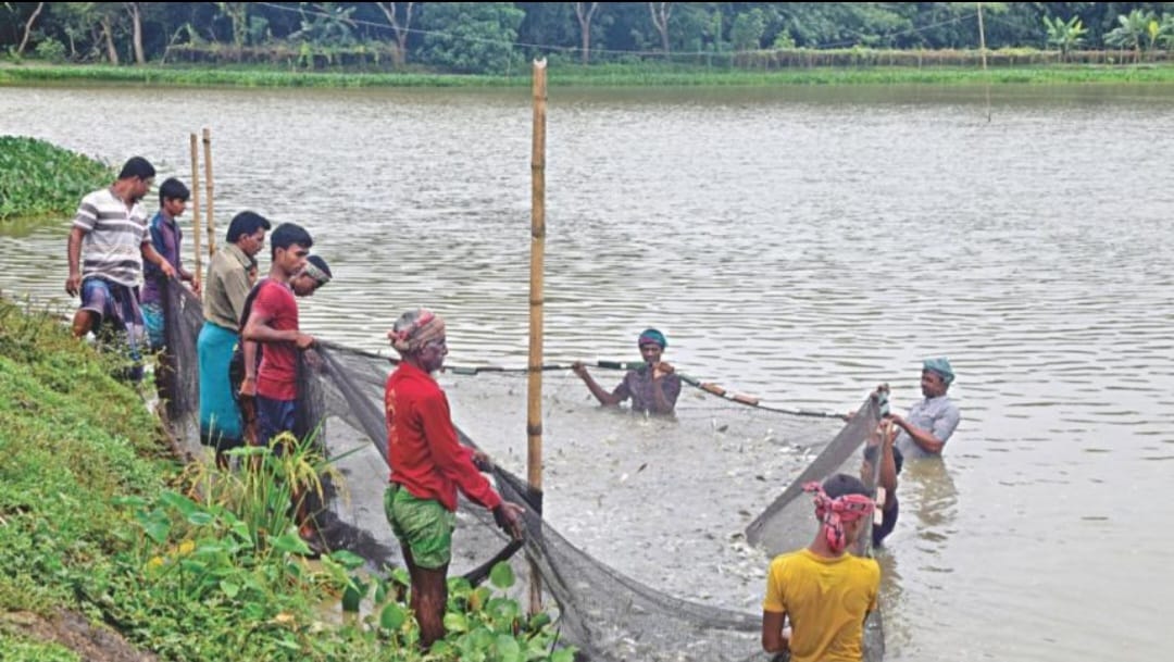পাবনার সাদুল্লাপুর-চরতারাপুর কোল সংস্কার : পরিকল্পিত উন্নয়নে কৃষি, মৎস্য, পরিবেশ, পর্যটন ও কর্মসংস্থানের অপার সম্ভাবনা